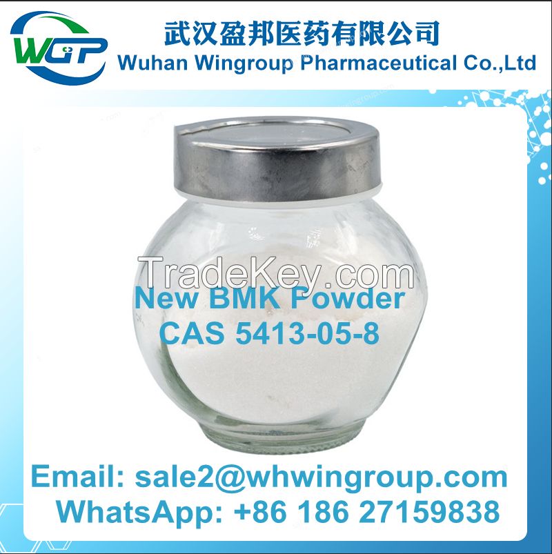 Buy New Arrival BMK Glycidate 5413-05-8 New BMK Powder with Safe Delivery to Netherlands/UK/Poland