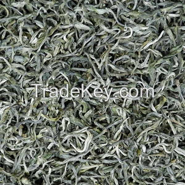 Organic Green Tea #2, silver silk, Yunnan tea