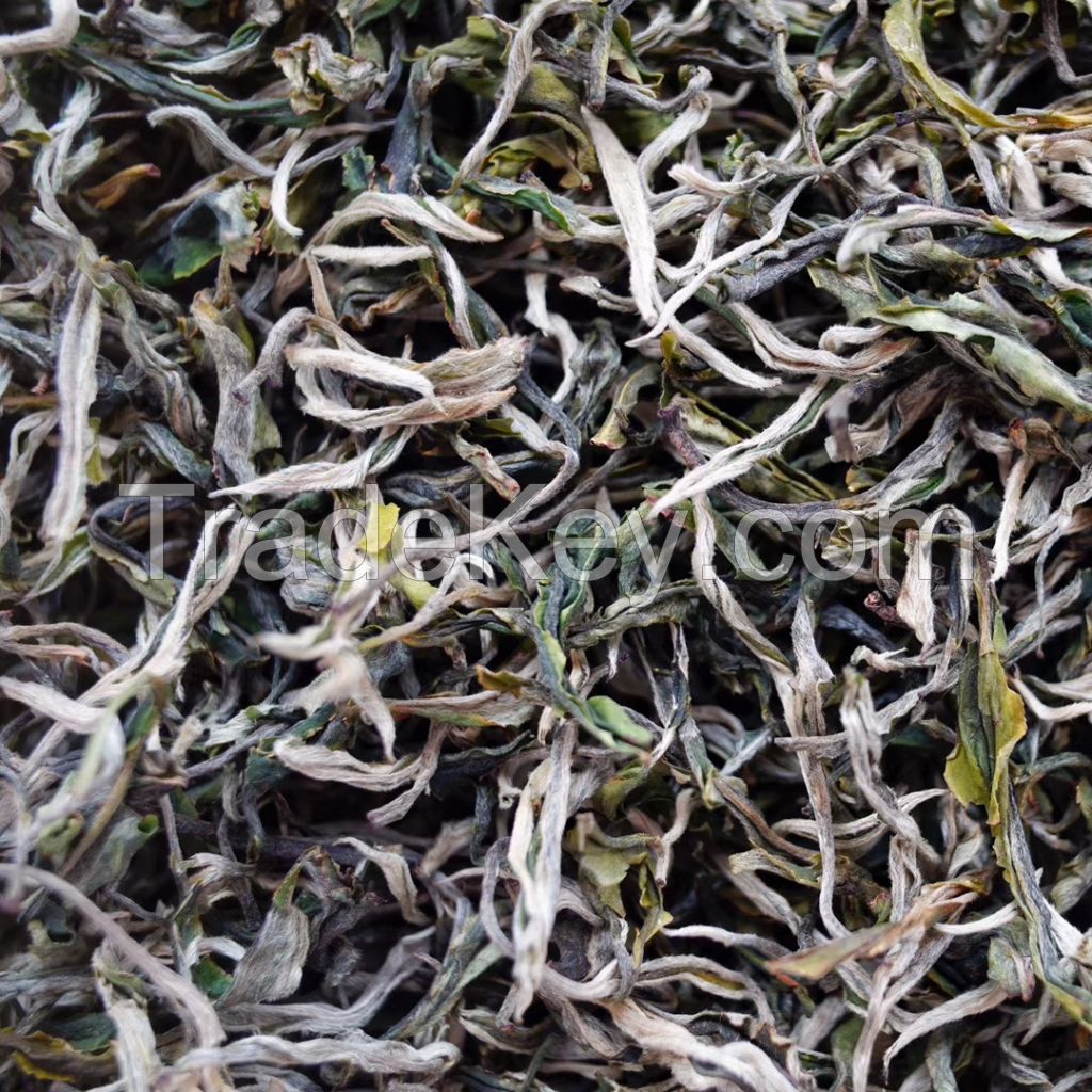 Organic Green Tea #2, silver silk, Yunnan tea