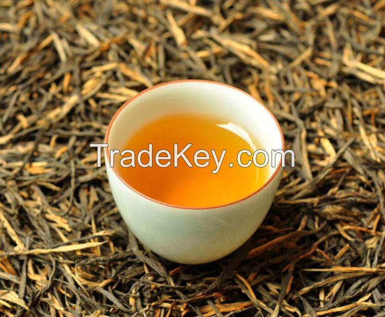 Pine Needle of Dianhong Black tea