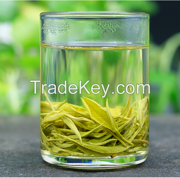 EU Organic Premium Tip Twisted Maofeng Green Tea  