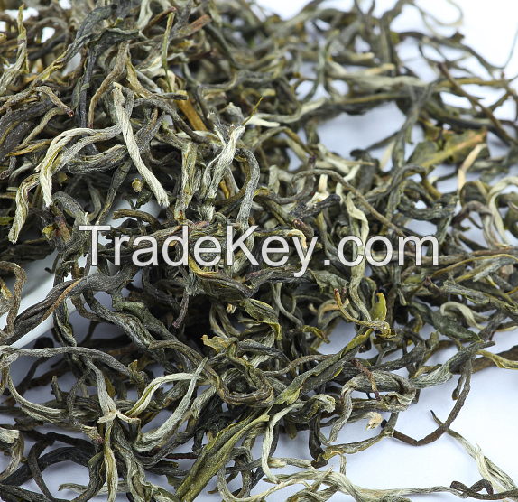 Yunnan High Mountain Healthy Tip Twisted Maofeng Green Tea 