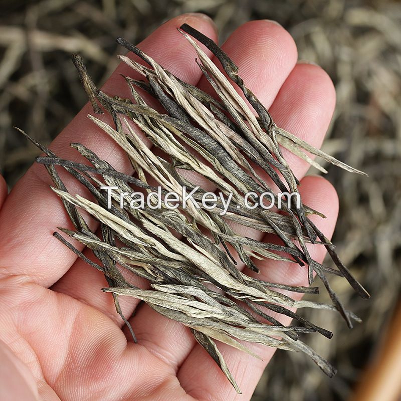 Wholesale Bulk Chinese Health Pre-Qingming Fragrant Yunnan Pine Needle Nutty Aroma Spring Green Tea