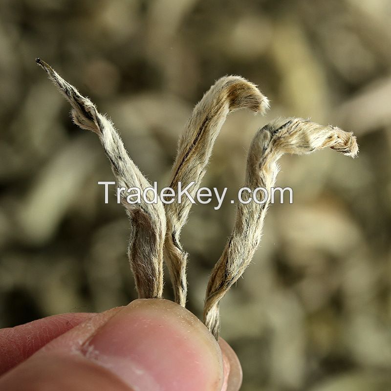 Wholesale Chinese Health Yunnan High Mountain Big Leave Xuelong Whole Pure Tip Spring Green Tea