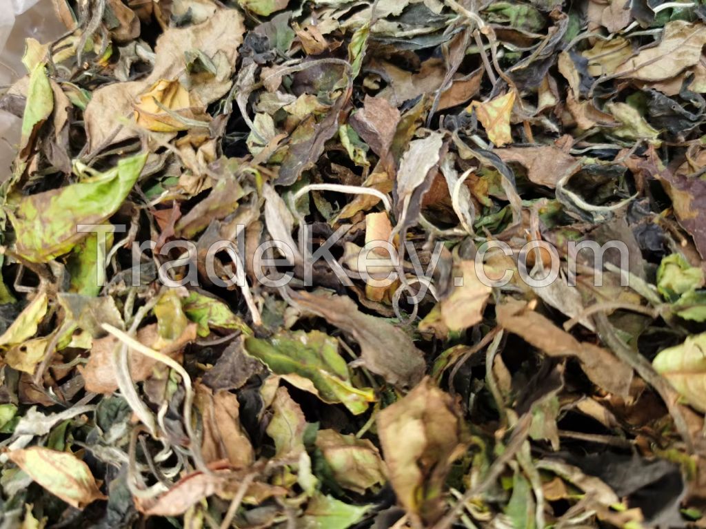 Factory Supply EU Standard White Peony Yunnan PaiMuDan White tea in Bulk