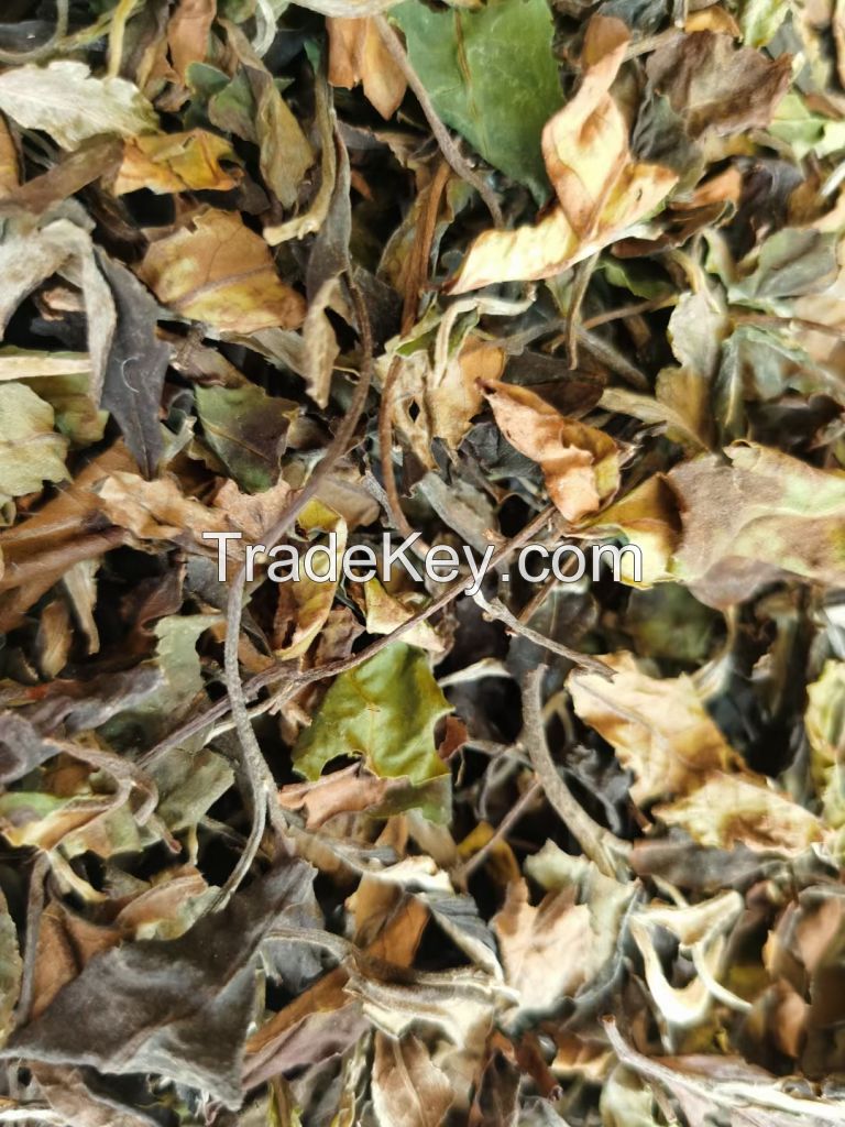 Factory Supply EU Standard White Peony Yunnan PaiMuDan White tea in Bulk