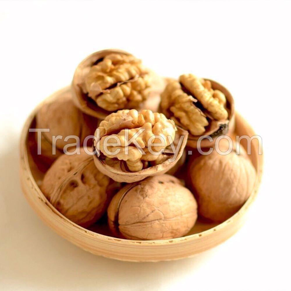 Factory supply Bulk lowest price New High Quality Pure Natural thin Skin inshell 185 Walnuts