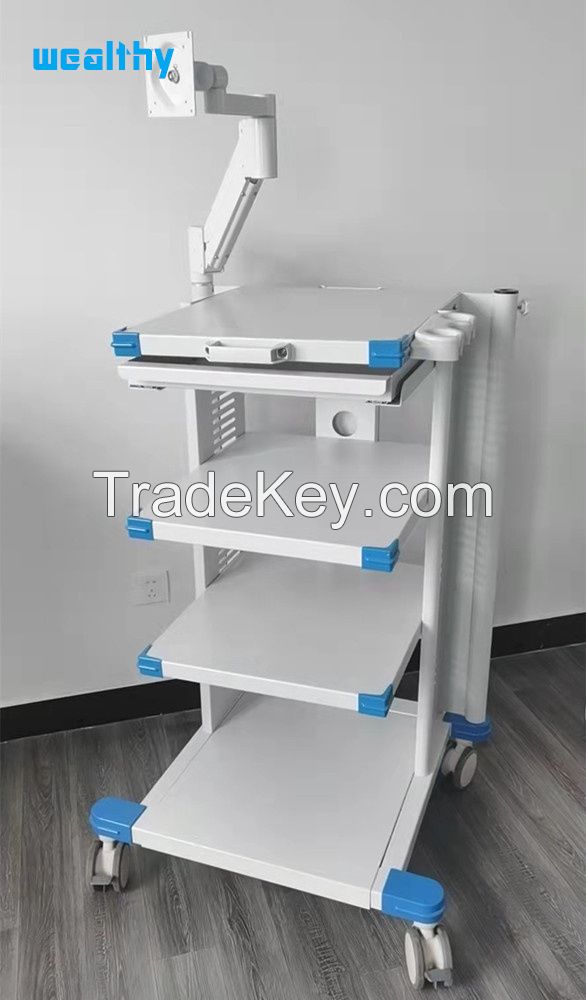 Endoscopy cart