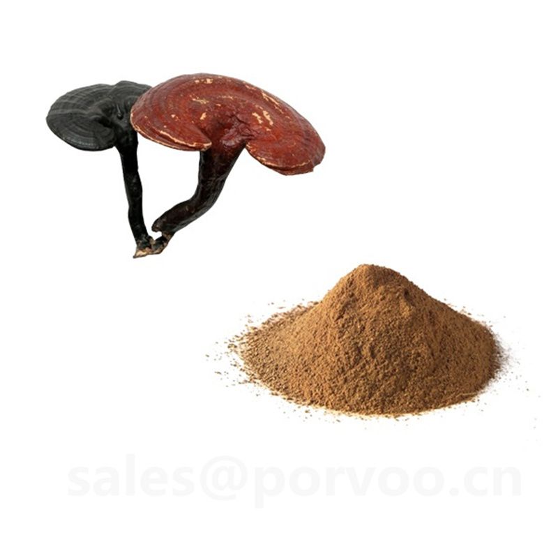 Wholesale Organic Ganoderma Extract, main functions of Ganoderma extract, Reishi mushroom Extract