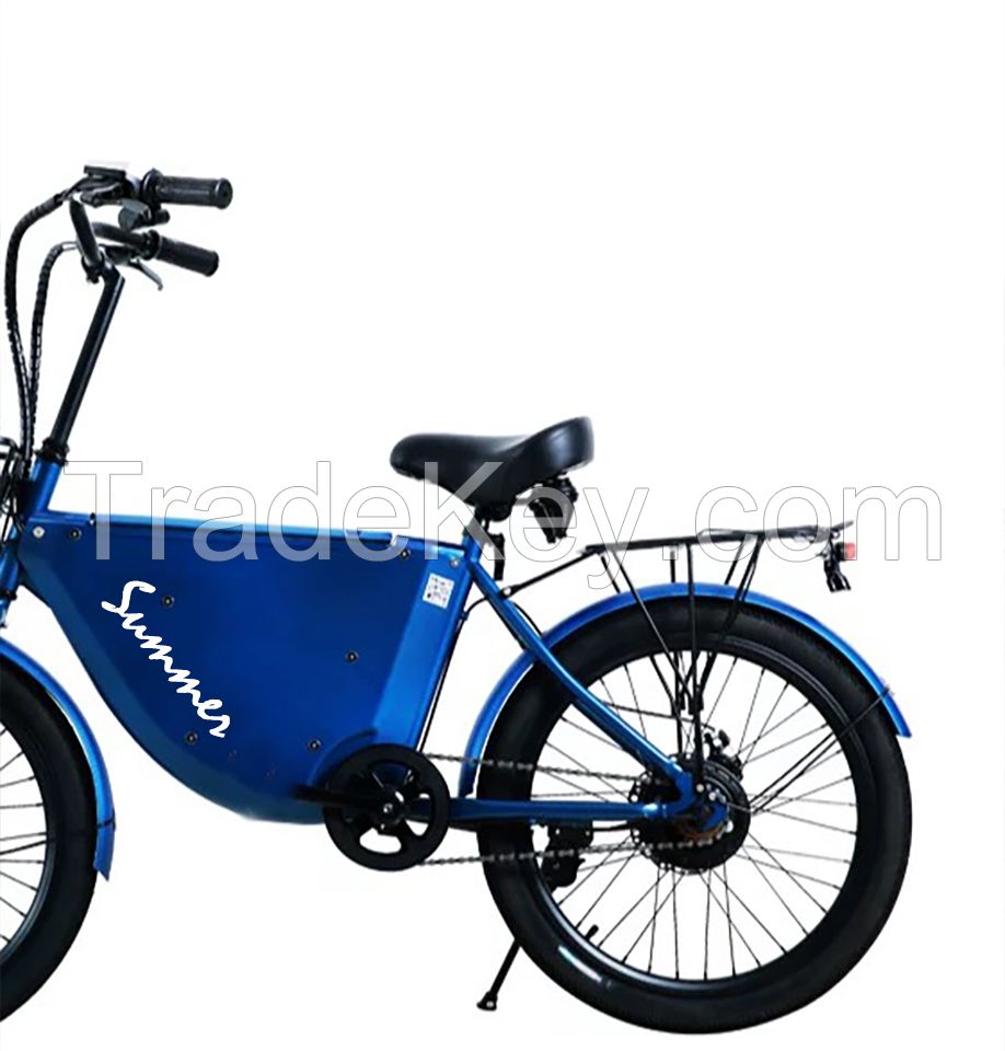 E-bike From China