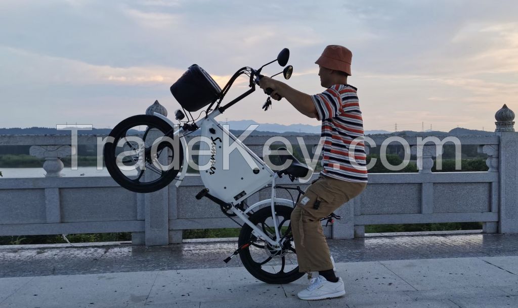 E-bike From China