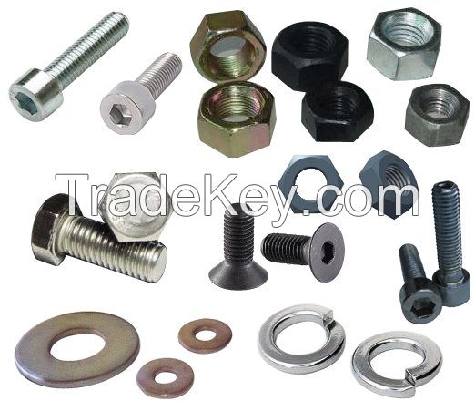 Carriage Bolt