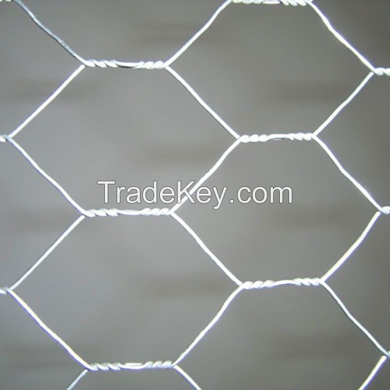 Hexagonal Network Wire Mesh Galvanized Mesh High Quaility