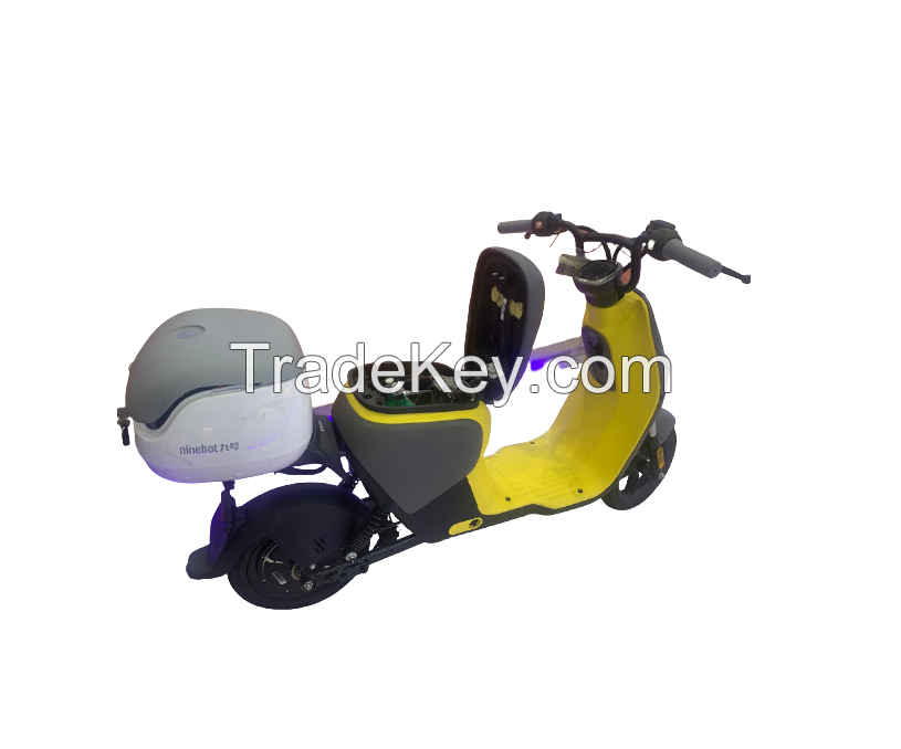 Exclusive private custom design  200W 300W 500W   hydrogen fuel cell  bike electrical bicycle