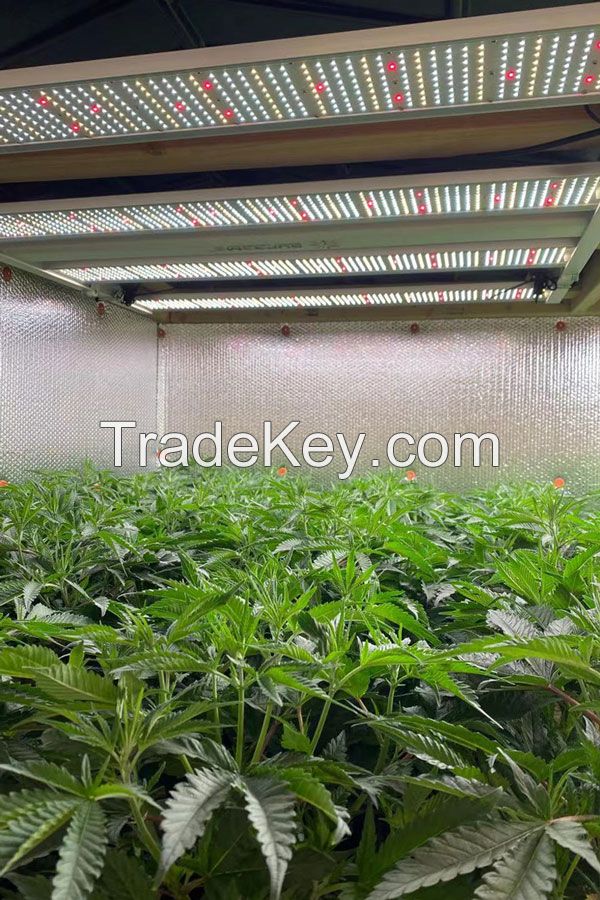 Commercial Grade LED grow light