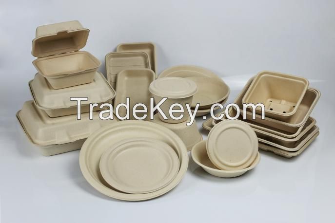 Biodegradable dinnerware