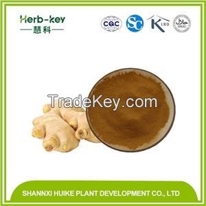 Ginger Root Extract, Ginger Extract, Gingerols