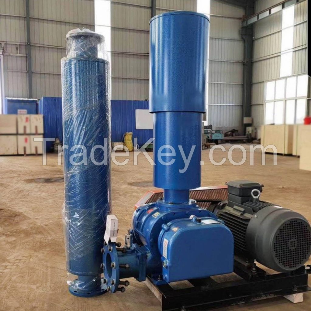 High efficiency oxygenation roots blower