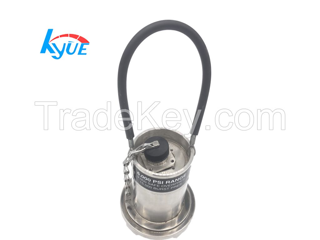 Wellhore union pressure sensor