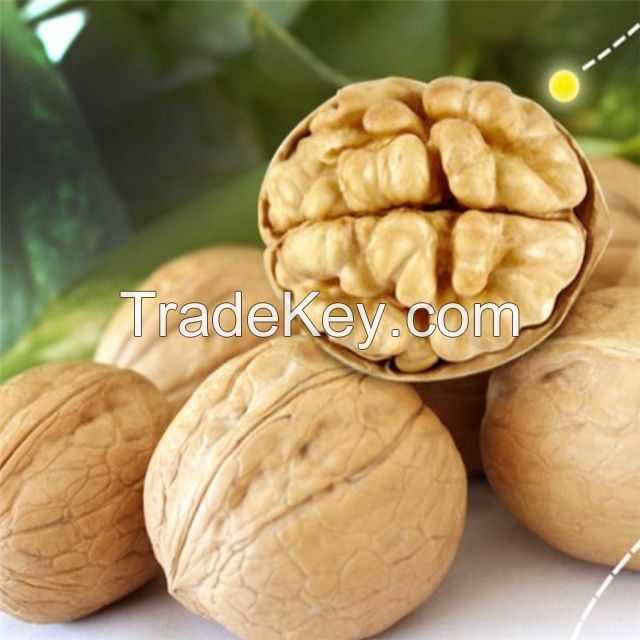 Factory Direct Sale Wholesale Price Healthy Nuts Inshell Walnuts And Walnuts Kernels