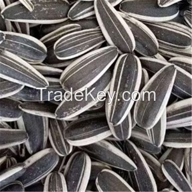  High Quality Black Sunflower Seeds 361  Chinese