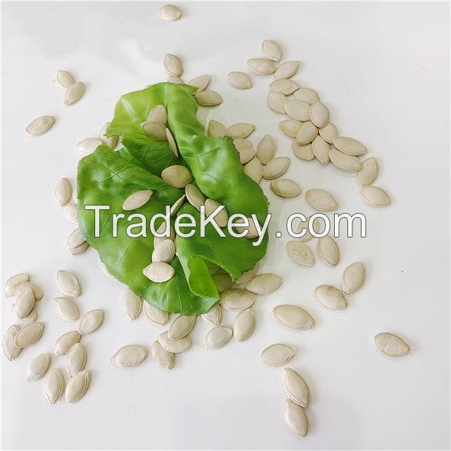 Inner Mongolia  Wholesale Roasted Pumpkin Seeds