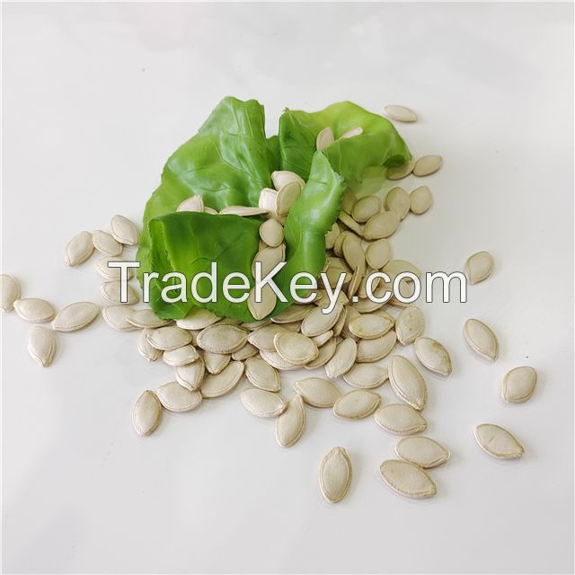 shine skin pumpkin seeds for human