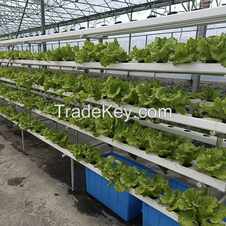 OMANA Nft Hydroponic Channel