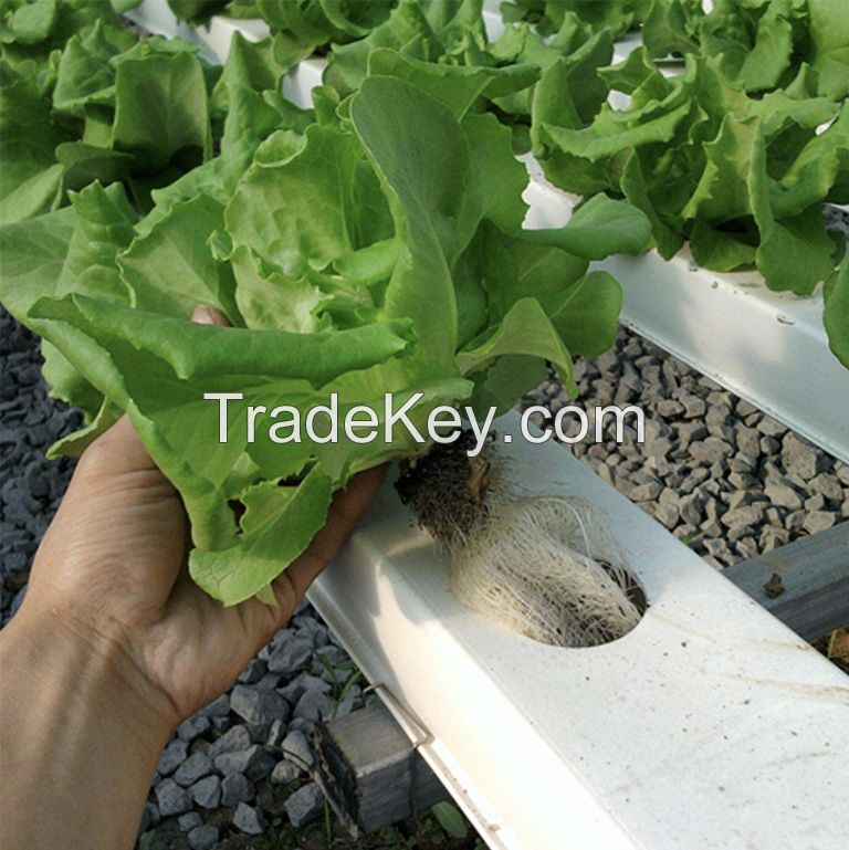 OMANA Nft Channels For Hydroponic Growing