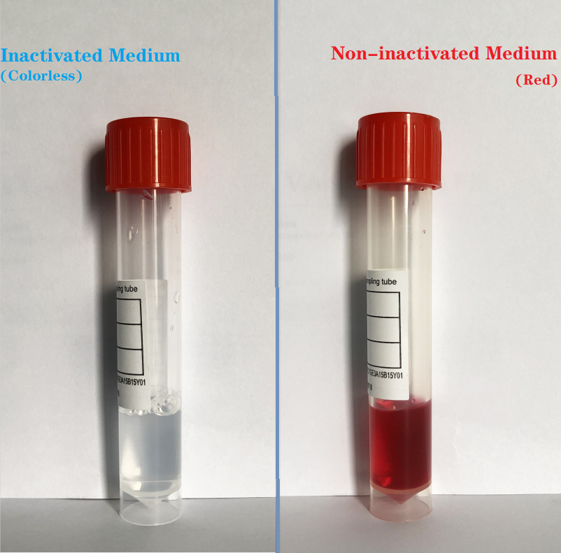 China Manufacturer Viral Transport Medium VTM/ITM/MTM kit with nasopharyngeal swabs