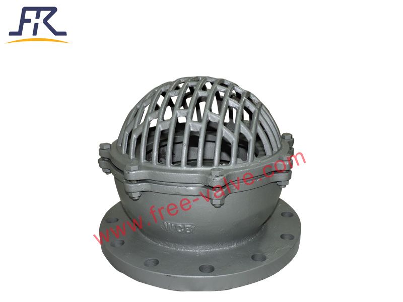 Stainless Steel Bottom Valve Lift Check Valve Flange Foot Valve for chemical industry