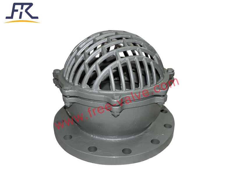 Pump Foot valve