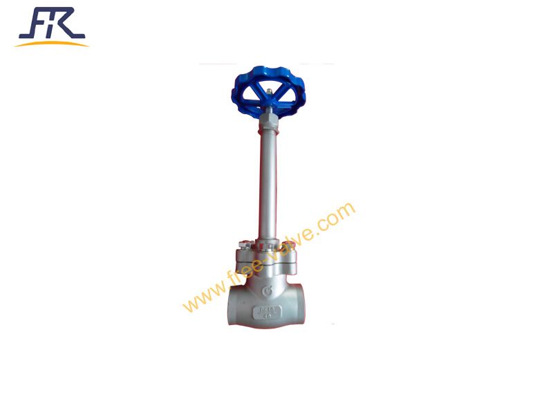 Cryogenic Globe Valve 