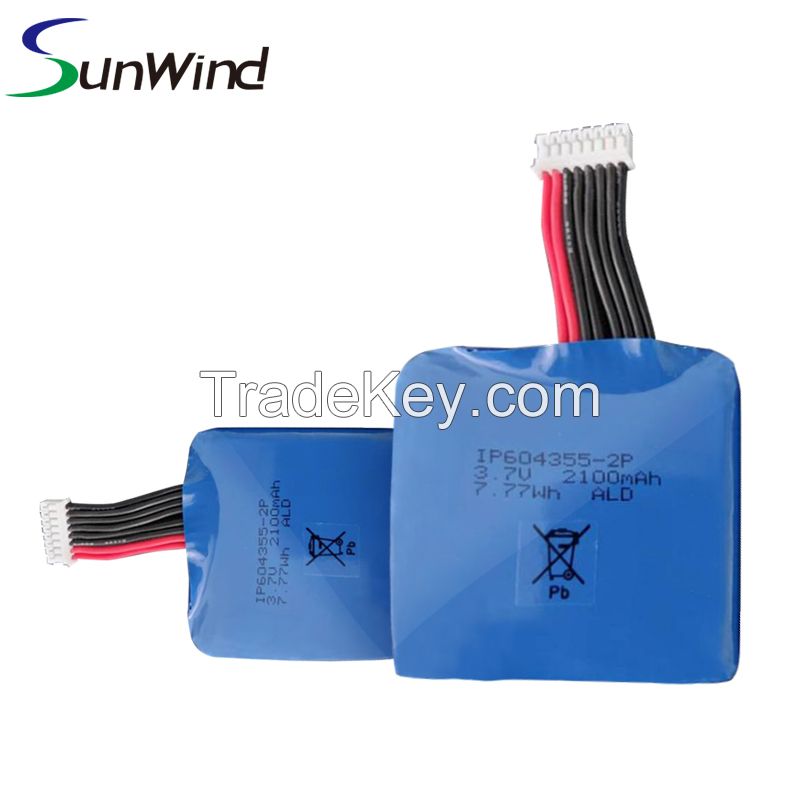 POS Terminal IP604355 2P Battery for Dejavoo Z9 Castles V3 3.7v 2100mah Handheld POS System