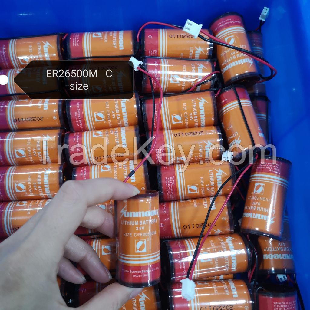 3.6V primary lithium battery14250 batteries with pin Li-SOCl2 Cylindrical Lithium Cells 