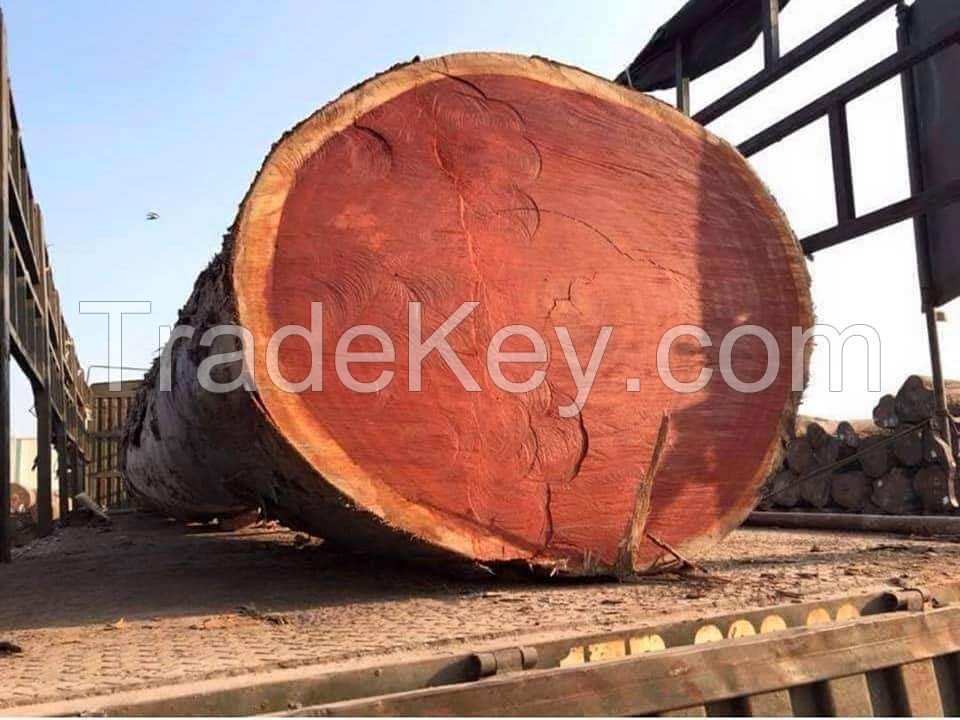 wholesale solid wood timber walnut slab wooden timber