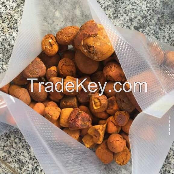 Quality Dried Cow Ox Gallstones / Cattle gallstones