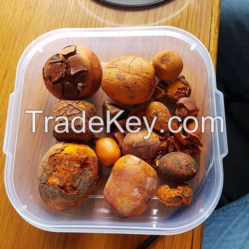 Quality Dried Cow Ox Gallstones / Cattle gallstones