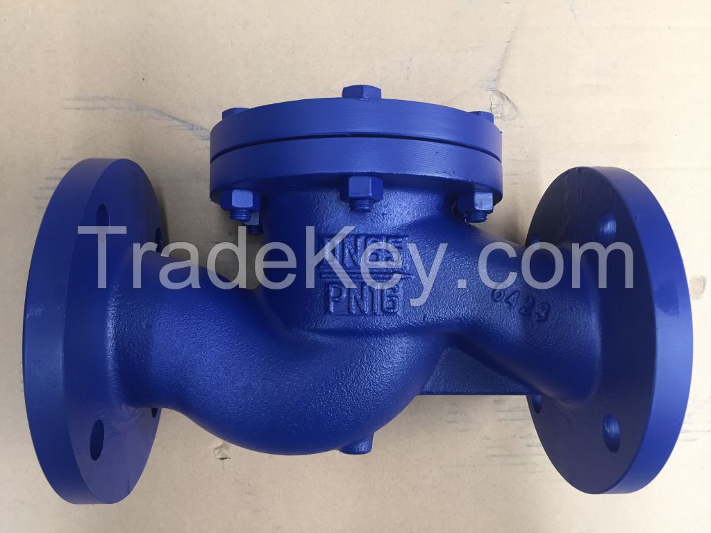 Cast iron check valve