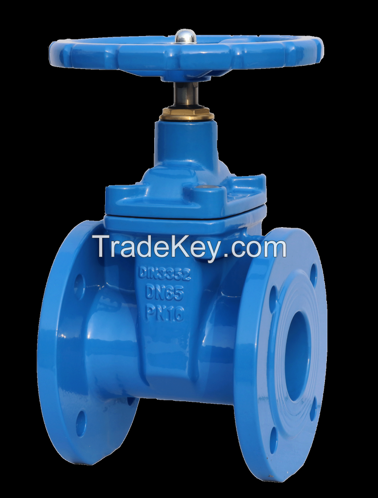 Cast iron gate valve