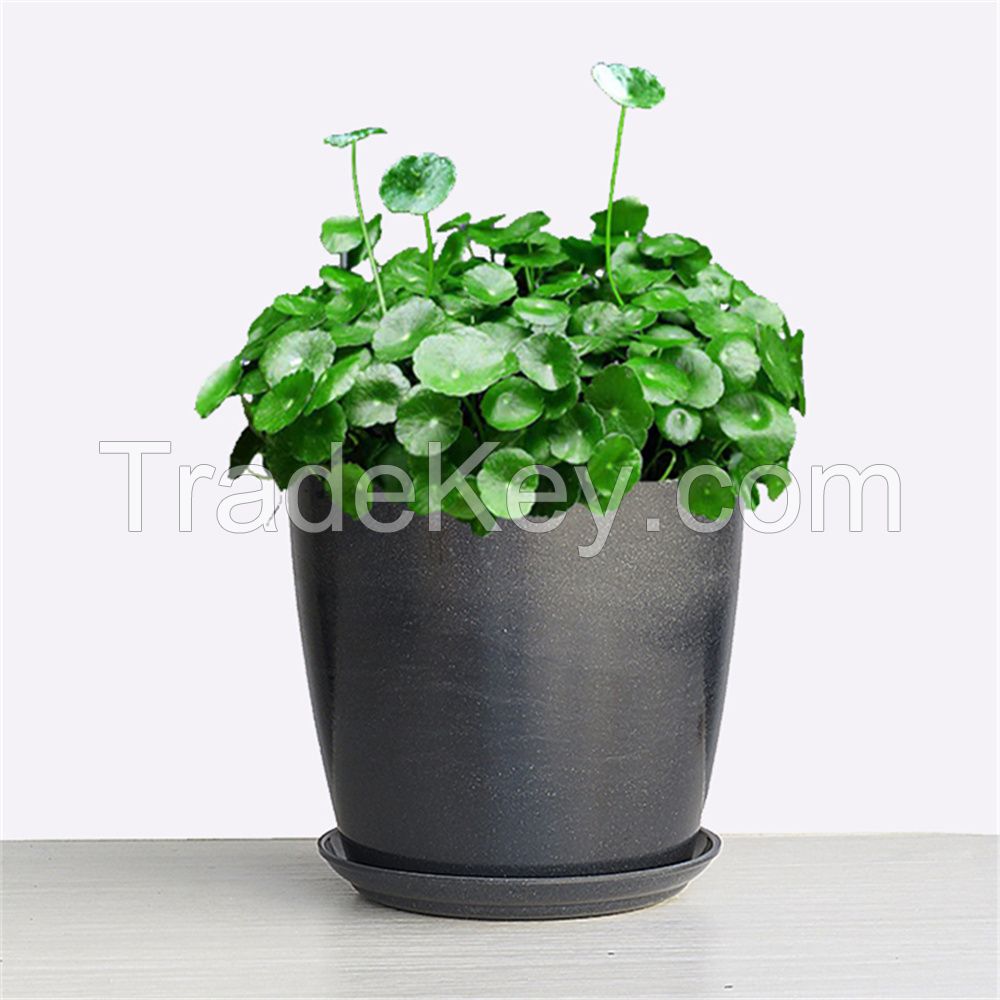 Simple Bamboo Fiber Biodegradable Flowerpot New Household Thickened La