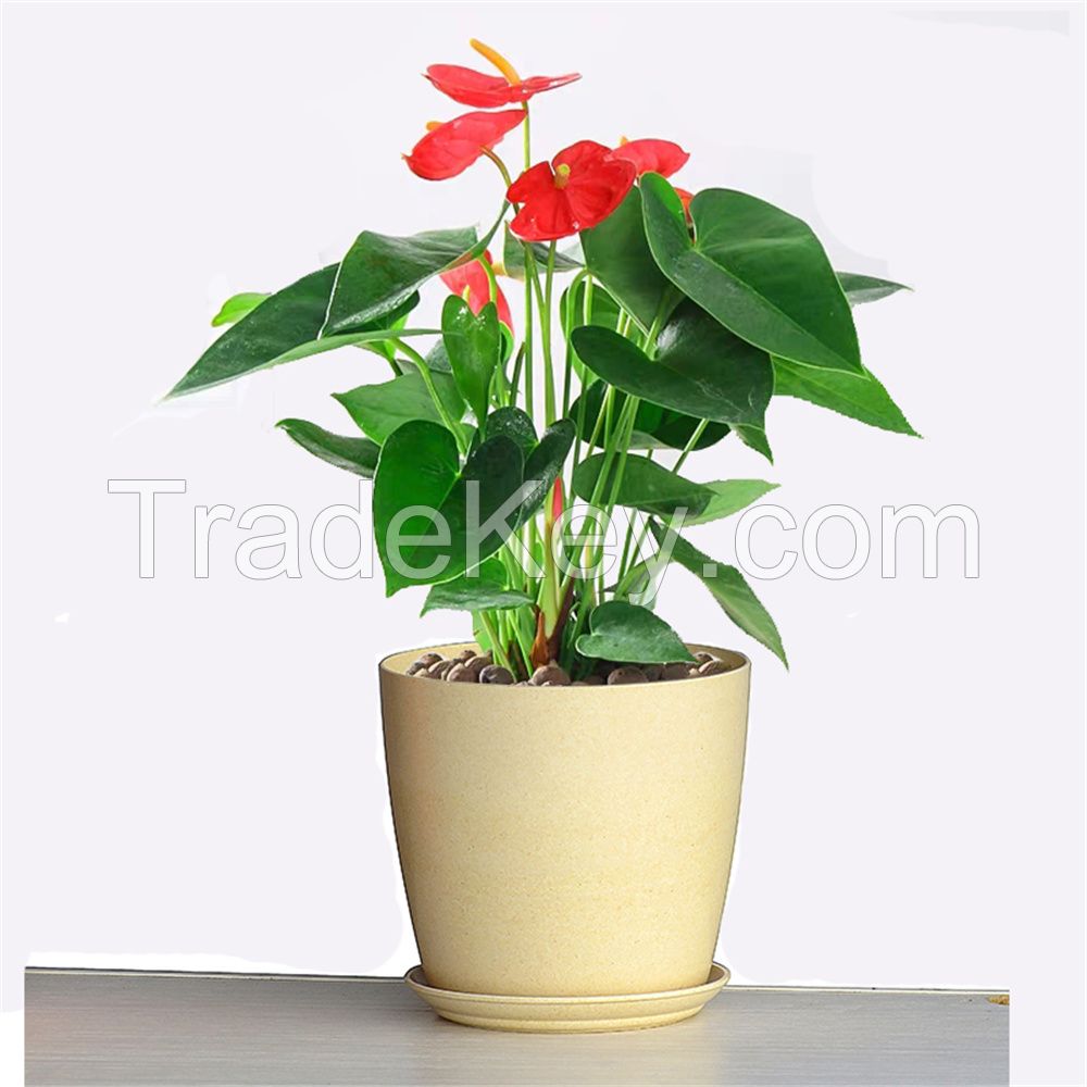 Simple Bamboo Fiber Biodegradable Flowerpot New Household Thickened La