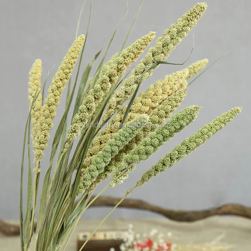 dried flowers millet fruit real dried flowers bouquet decor flowers and plants house decoration interior accessories luxury