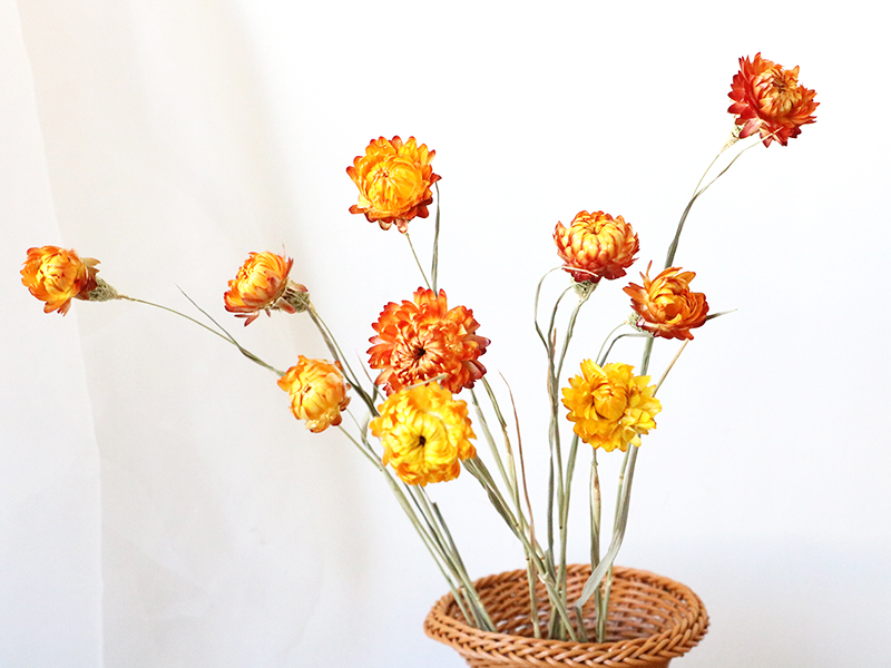 dried straw flower  bouquet dried flowers weeding decoration flowers d