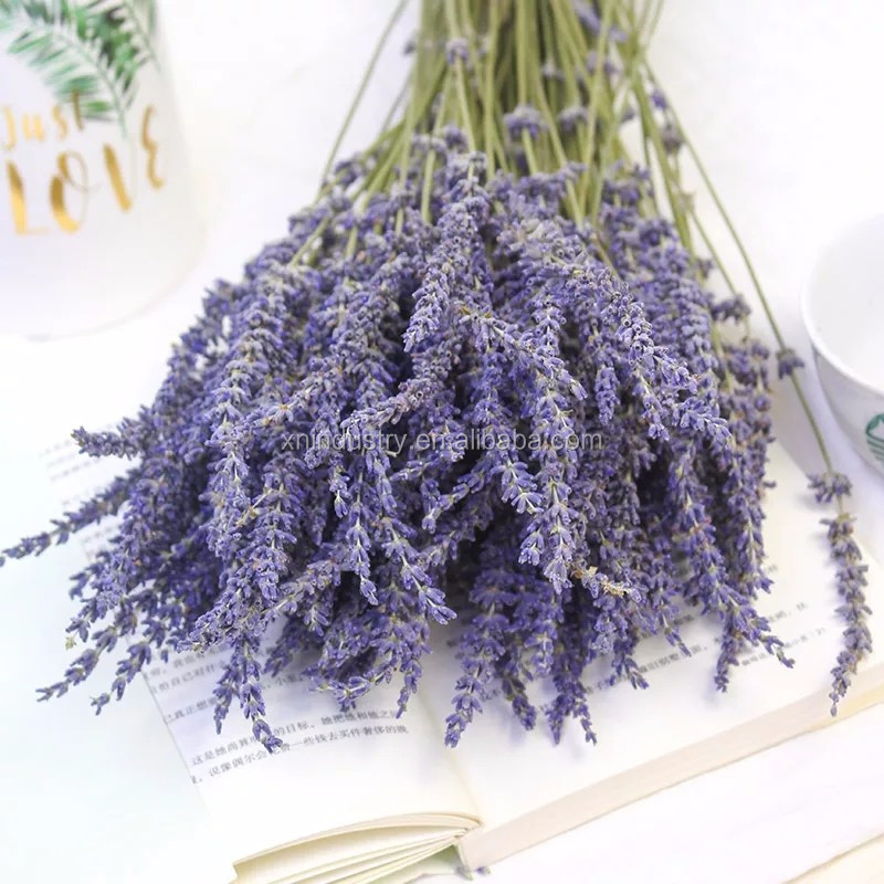 lavender bouquet dry Yunnan lavender flowers dried Interior decoration