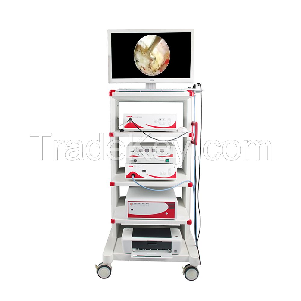 Medical Optical Cystoscopy Ureterorenoscopy Nephroscopy Urology endoscopy camera