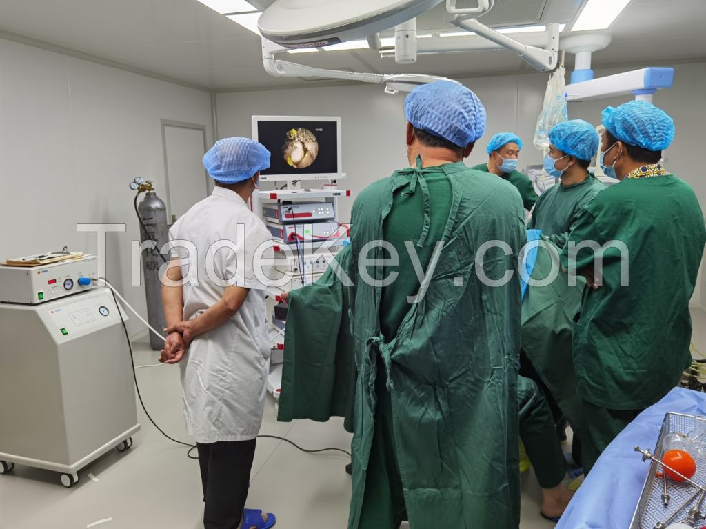 Medical Optical Cystoscopy Ureterorenoscopy Nephroscopy Urology endoscopy camera