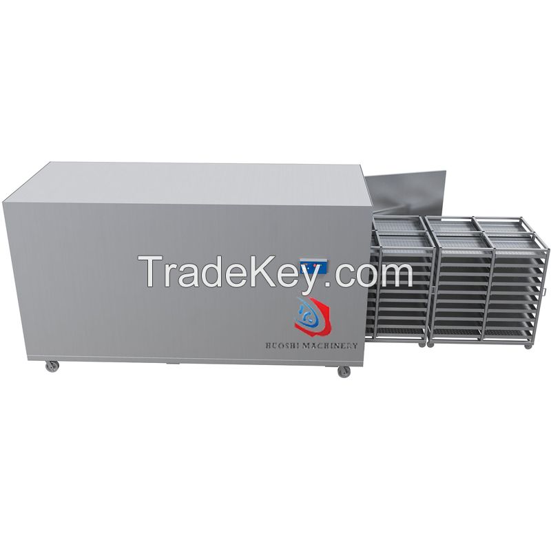 Tray Type Dryer