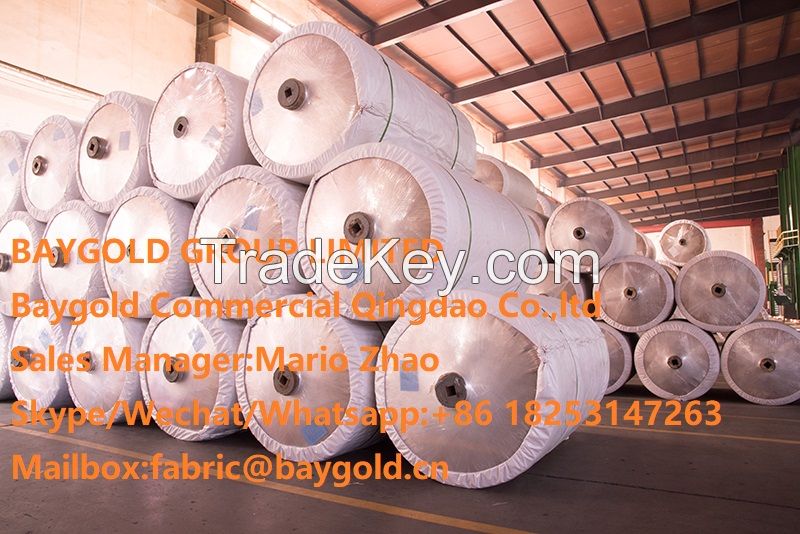 dipped nylon6 tyre cord fabric