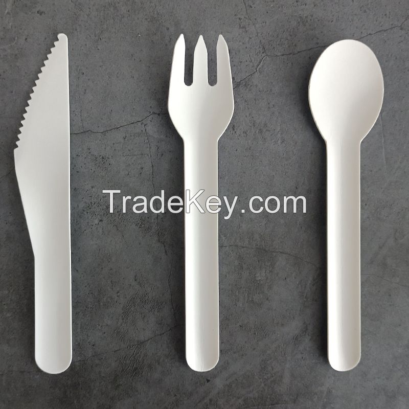 Paper Pulp Biodegradable Disposable Eco Friendly Bamboo Spoons